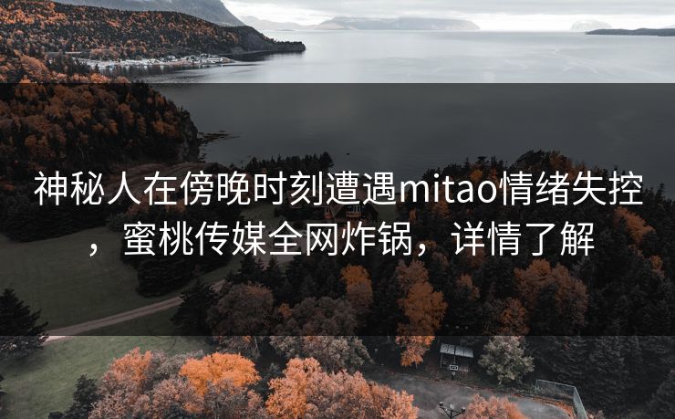 神秘人在傍晚时刻遭遇mitao情绪失控，蜜桃传媒全网炸锅，详情了解