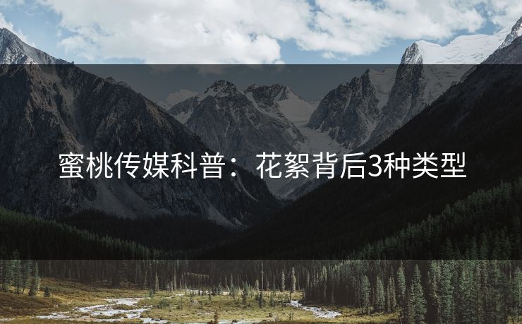 蜜桃传媒科普：花絮背后3种类型