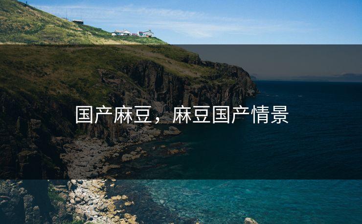 国产麻豆，麻豆国产情景