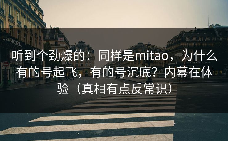听到个劲爆的：同样是mitao，为什么有的号起飞，有的号沉底？内幕在体验（真相有点反常识）